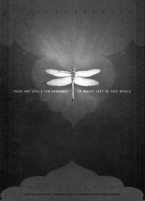 Symbolism Of Dragonflies, Dragon Fly Symbolism, Dragonfly Facts, Green Darner Dragonfly, Dragonfly In Amber, Movie Posters