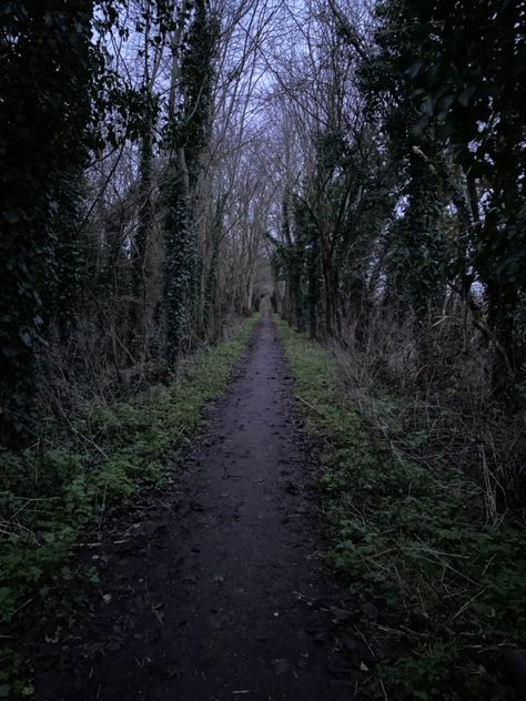 #dark #path #pathway #scary #grunge #trees #cool Creepy Path, Dark Playground, Midwest Core, Withering Heights, Scary Woods, Creepy Woods, Scary Tree, Movie Vibes, Gravel Pathway