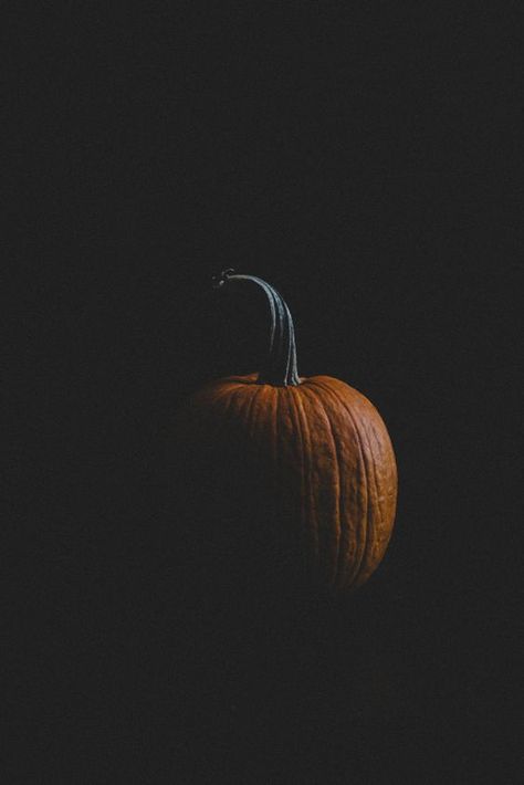 Moody Pumpkins, Food Photography Fruit, Pumpkin Photography, Moody Food Photography, Dark Food Photography, Pumpkin Photos, Fall Mood, Moody Photography, Food Photography Inspiration