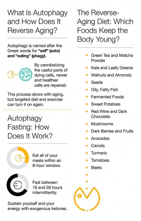 The reverse-aging diet: how to use autophagy fasting practices and nutritiously dense foods to regain youthful vitality. Here's what you need to know. Autophagy Fasting, What Is Autophagy, Health Statistics, Healthy Probiotics, Healthy Seeds, Anti Aging Secrets, Reverse Aging, Anti Aging Food, Fatty Fish