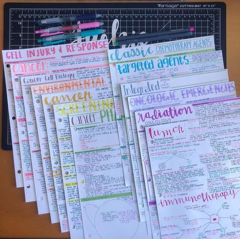 University Goals, Handwriting Notes, Studying Inspiration, Studie Hacks, Notes Inspo, Studera Motivation, Study Life, College Notes, Writing Fonts