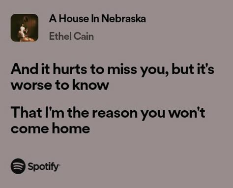 A House In Nebraska Ethel Cain, Am I Making You Feel Sick, Ethel Cain Lyrics Aesthetic, Newtmas Aesthetic, Ethel Cain Lyrics, House In Nebraska, Fun Lyrics, Preachers Daughter, Mother Cain