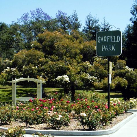 Garfield park of South Pasadea Southern America, Monterey Park, Park Day, Photo Shoot Location, South Pasadena, California History, San Gabriel, Los Angeles County, The Good Old Days