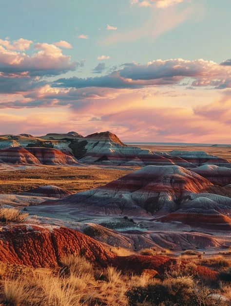 Discover Arizona's Hidden Gem Americana Summer, Petrified Forest National Park, Southwest Usa, Petrified Forest, Flagstaff, Us National Parks, Hidden Gem, Adventure Awaits, Vacation Spots