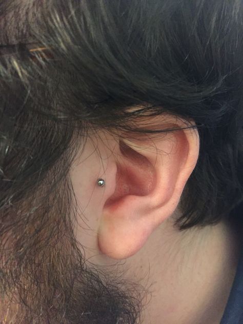 Male tragus piercing done by me! (Megsbodypiercing) Piercing Men, Guys Ear Piercings, Men's Piercings, Ear Piercings Chart, Ear Piercings Tragus, Cool Ear Piercings, Piercing Tragus, Face Piercings, Dermal Piercing