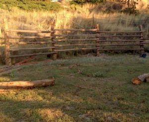 Round Pen Ideas, Diy Round Pen, Spud Bar, Round Pens For Horses, Kacy Catanzaro, Horse Pens, Post Hole Digger, Pen Ideas, Colorado Ranch