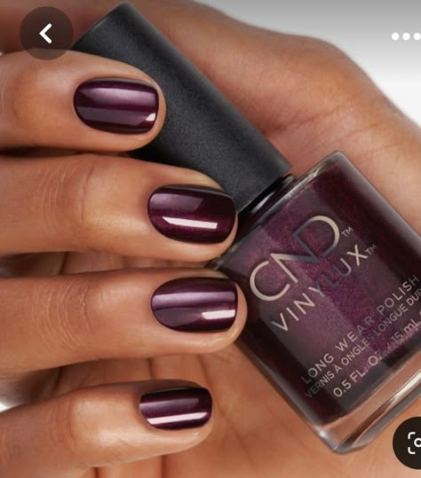 Merlot Color Nails, Dip Manicure Ideas Winter, Edgy Nail Designs Simple, Merlot Nail Color, Eggplant Nail Color, Plum Nails Acrylic, Nail Ideas Dark Colors, Cabernet Nails, Business Nails Professional