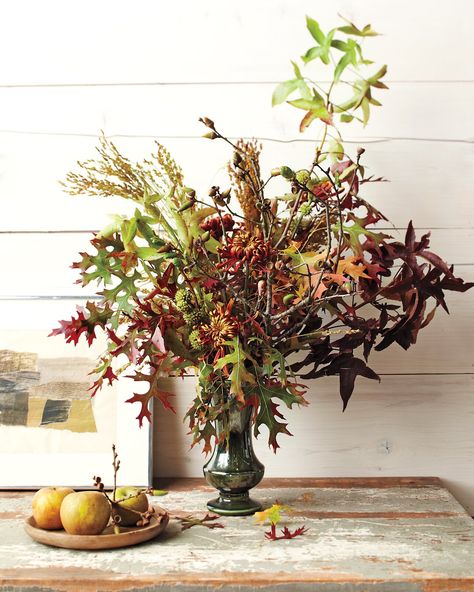 Martha Stewart Fall, Colorful Arrangements, Fall Flower Arrangements, Kangaroo Paw, Fall Arrangements, Thanksgiving Centerpieces, Arte Floral, Fall Design, Autumn Garden