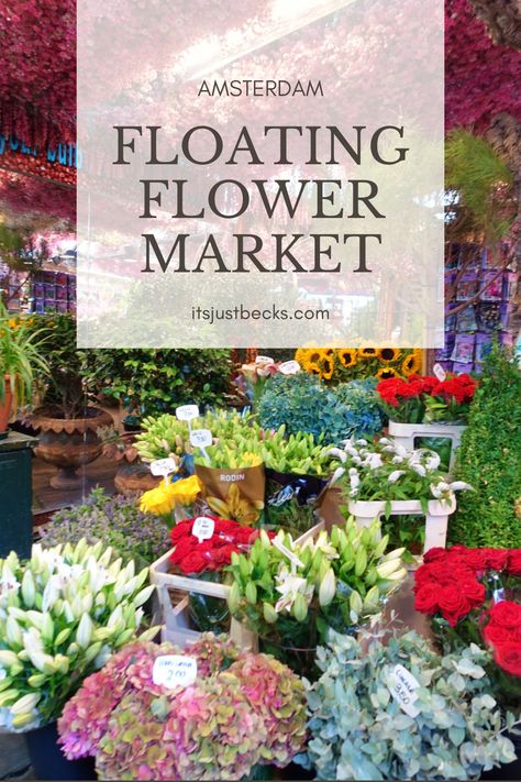 A visit to Amsterdam's floating flower market, known locally as Bloemenmarkt, should be high on the to-see list when in the city. Home to all kinds of flowers, including the tulips The Netherlands is famous for, as well as a number of souvenirs. How often do you see a market floating in Europe? Tulips Holland, Amsterdam Flower Market, Kinds Of Flowers, Floating Flower, Dam Square, Netherlands Travel, Floating Flowers, Different Flowers, Types Of Flowers