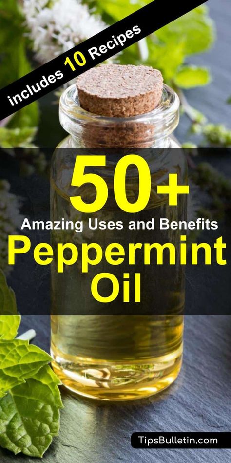 Diy Peppermint Oil, Peppermint Oil For Skin, Benefits Of Peppermint Oil, Peppermint Oil Uses, Benefits Of Peppermint, Echinacea Tea Benefits, Peppermint Oil Benefits, Peppermint Tea Benefits, Easy Life Hacks