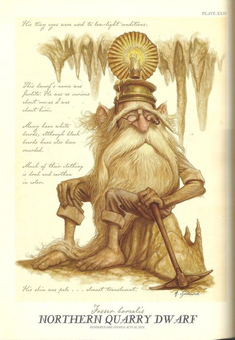 Dwarf - Spiderwick Chronicles Wiki - Wikia Spiderwick Chronicles Art Book, Spiderwick Creatures, Spiderwick Chronicles Art, The Spiderwick Chronicles, Tony Diterlizzi, Spiderwick Chronicles, Creature Fantasy, Brian Froud, Illustrator Inspiration