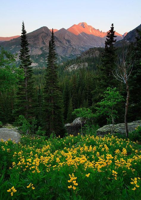 Rocky Mountain,Longs Peak,Colorado, USA | These Colorado hiking trails make great bucket list ideas! To discover new climbs, hikes, and adventure in Colorado, visit https://missadventurepants.com/colorado-hikes/ Longs Peak Colorado, Colorado Lifestyle, Longs Peak, Rocky Mountain National Park Colorado, I Was Here, Colorado Usa, Mountain Photography, Mountain Life, Photography Landscape