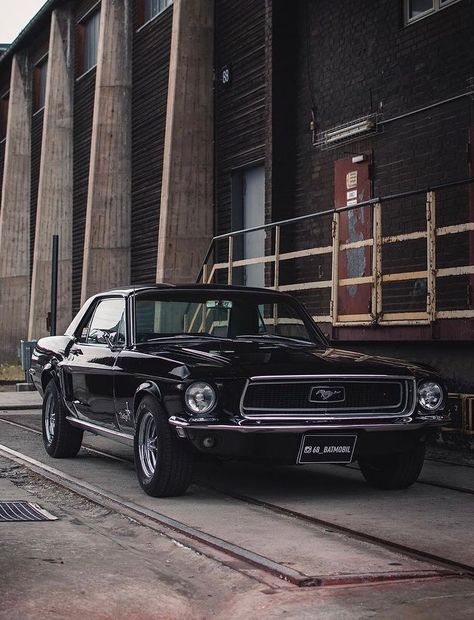 1967 Mustang Wallpaper, 1969 Mustang Fastback, Car Mustang, Ford Mustang 1967, Ford Mustang Classic, Black Mustang, Mustang Wallpaper, Vintage Mustang, 1967 Mustang