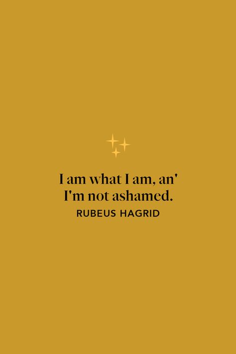 Hagrid Quotes, Harry Potter Weekend, Rubeus Hagrid, Potter Tattoo, Harry Potter Tattoo, Harry Potter Quotes, Boys Who, The Words, Harry Potter