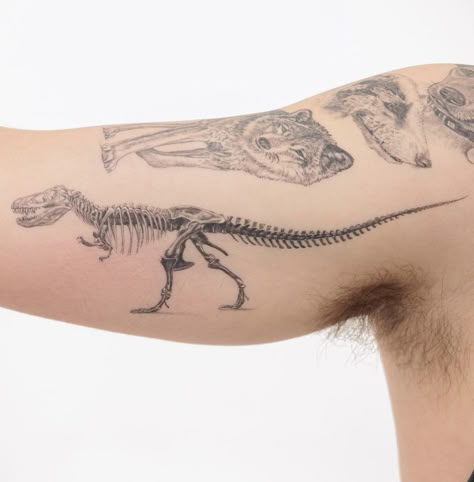 Dino Skeleton Tattoo, Dinosaur Bones Tattoo, Dinosaur Fossil Tattoo, Parasaurolophus Tattoo, Dinosaur Skeleton Tattoo, Animal Skeleton Tattoo, Stegosaurus Tattoo, Otto Tattoo, Triceratops Tattoo