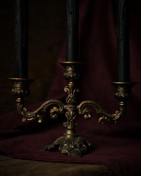 Antique Candelabras, Goth Cottage, Goth Wedding, Gothic Design, Rental Decorating, Vintage Candle Holders, Farmhouse Style Kitchen, Candle Lanterns, Room Aesthetic