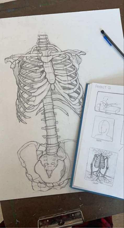 Skeleton art sketch ideas draw Med School Drawings, Drawing Ideas Medicine, Medical Drawings Sketches Art, Medicine Drawing Art, Medicine Drawing Ideas, Motivational Sketches, Medical Drawings Sketches, Med Drawing, Organ Drawings