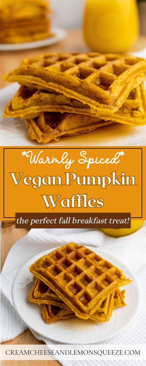 Easy Vegan Pumpkin Waffles are not just a vegan breakfast everyone will love; they are a celebration of all things fall! Enjoy the perfect blend of pumpkin, spices, and fluffy goodness. A delightful vegan breakfast or brunch option when you need a plant-based treat! Low Carb Vegan Breakfast, Pumpkin Waffles Recipe, Pumpkin Spice Waffles, Pumpkin Spice Creamer, Chai Spices, Vegan Waffles, Vegan Pumpkin Spice, Walnut Butter, Pumpkin Waffles