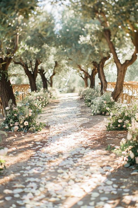 #magicalwedding #mysticalwedding #enchantingwedding #relaxedwedding #unpretentiouswedding #simplicityweddings #intimateweddings Olive Tree Wedding Ceremony, Olive Trees Wedding, Olive Tree Wedding Aisle, Olive Grove Wedding Ceremony, Mallorca Photoshoot, Wedding In Olive Grove, Cambridge Cottage, Wedding Tree Planting Ceremony, Olive Grove Wedding