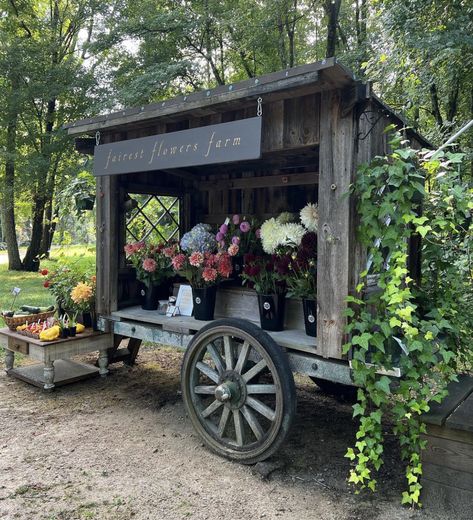 Farm Stand Ideas, Roadside Stand, Farmers Market Stand, Farmers Market Display, Vegetable Stand, Cut Flower Farm, Wooden Cart, Egg Stand, Market Stands