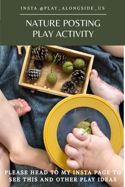 A lovely sensory activity incorporating posting natural elements. Great for fine motor and the development of the containment schema ! . Please head over to my Instagram and Facebook pages for more details on this learning through play experience and more !! @play_alongside_us Schema Activities, Play Hacks, Sensory Activity, Christmas Play, Nature Play, Toddler Play, Sensory Activities, Learning Through Play, Play Activities