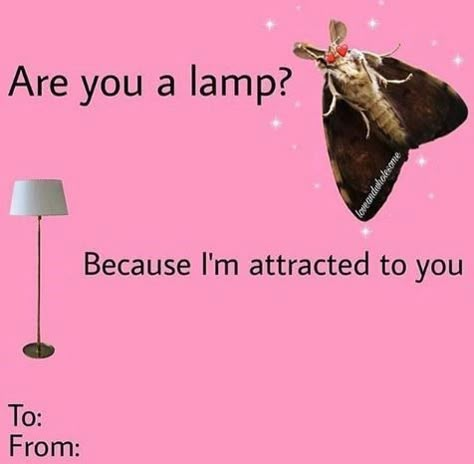 16 Dank Memes That Deliver The Right Amount Of Weirdness - Memebase - Funny Memes Memes De San Valentin, Meme Valentines Cards, Bad Valentines Cards, Silly Valentines, Bad Valentines, Cheesy Valentine, Valentines Memes, Valentines Day Memes, Funny Valentines Cards