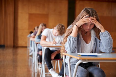 Is your student TOO stressed, or NOT stressed enough? - Creating Positive Futures Mental Health Activities, Maths Exam, Exam Day, State Testing, Health Activities, Mental Math, Final Exams, Student Activities, Law School