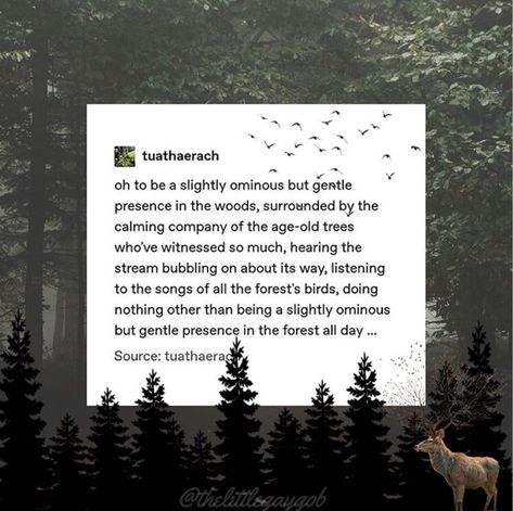 Dark Academia X Goblincore, Cryptidcore Quotes, Goblincore Quotes, Cryptid Core, Cryptidcore Aesthetic, Goblincore Aesthetic, Chaotic Academia, Goblin Core, Dark Cottagecore