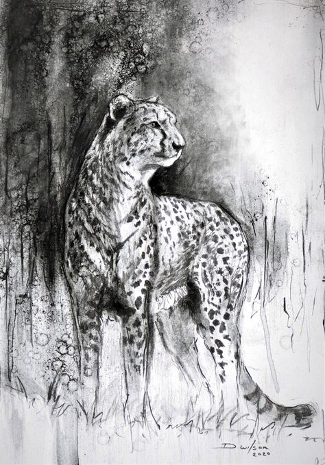 By Daniel Wilson - see the full process of this being created on YouTube! Painting With Charcoal, Animal Charcoal Sketches, Charcoal Drawing Elephant, Leopard Pencil Drawing, Leopard Sketch Pencil Drawings, Wildlife Drawings, Tiger Charcoal Drawing, Cheetah Drawing, Drawings On Paper