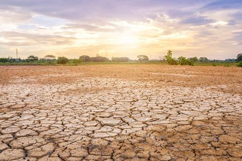 Cracked Ground, Ground Texture, Earth Texture, Black Soil, Soil Texture, Cat Steps, Natural Background, Background Abstract, Sky And Clouds