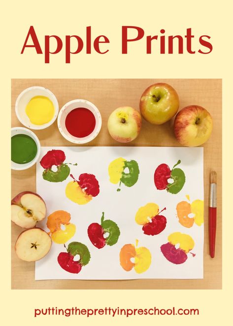 Apple print activities. Dip and paint apple halves and slices and press them onto art paper. Save some prints for fingerplays and counting. Thanksgiving Ideas For Kids, Creative Thanksgiving Ideas, Ideas For Kids Activities, Preschool Valentines Activities, Turkey Handprint Craft, Apple Crafts, Kindergarten Art Projects, Easy Art For Kids, Thanksgiving Activities For Kids