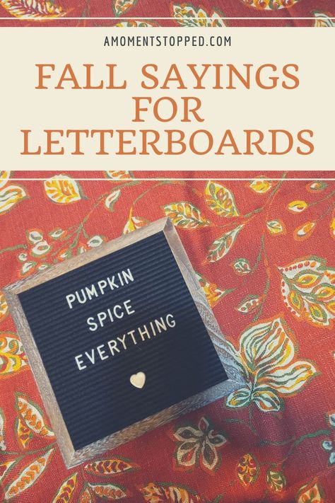 Fall Sayings for Letterboards (85 fun ideas). For use in photo shoots! Fall Sayings, House Items, Hair Quotes, Autumn Quotes, Felt Board, Fall Decorating, Fall Photos, Fun Ideas, Blogging Tips