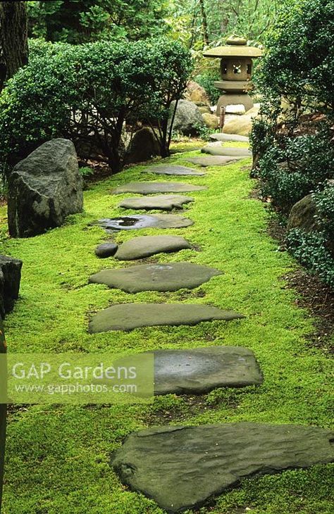 Japanese Rock Garden Ideas, Stepping Stones Ideas, Japanese Rock Garden, Japanese Plants, Flagstone Path, Zen Rock Garden, Japanese Garden Landscape, Small Patio Garden, Japanese Garden Design