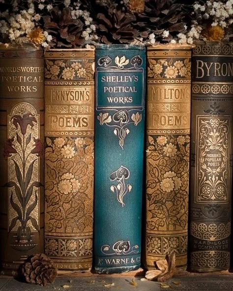 Old Books Aesthetic, Solo Aesthetic, Books Antique, Spine Design, Tan Aesthetic, Aesthetic Library, Reader Aesthetic, Book Spines, Pretty Books