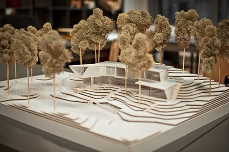 Architecture Model Trees, Maquette Architecture, Site Model, Architecture Portfolio Design, Model Tree, Conceptual Architecture, Landscape Model, Architecture Sketchbook, Architectural Engineering