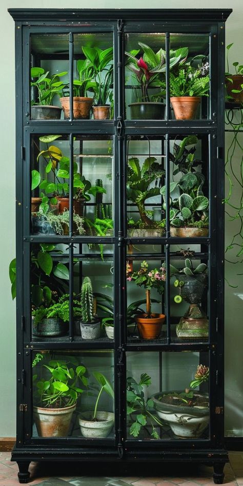 Diy indoor greenhouse