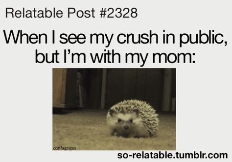 Funny Crush Memes Hilarious, Crush Relatable, Love Memes For Her For Crush, Funny Crush Memes Truths, Sky Falling, You Are My Crush Memes, Shy Crush Memes, Funny Crush Memes, Crush Humor