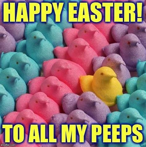 Happy Easter to all my PEEPS!  Don't miss our funny Easter memes and images for sharing #easter #easterbunny #funnymemes #funny #funnypictures #memes #memesdaily #memesfacebook #lol #peeps Funny Easter Images, Easter Meme, Egg Meme, Easter Memes, Bunny Meme, Happy Easter Funny, Jesus Meme, Happy Easter Quotes, Jesus Memes