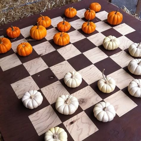 Pumpkin Checkers!!! Pumpkin Checkers Game, Pumpkin Patch Halloween Decorations, Pumpkin Patch Games, Fall Festival Ideas, Pumpkin Patch Decor, Pumpkin Patch Activities, Pumpkin Dream, Autumn Bonfire, Fall Festival Games