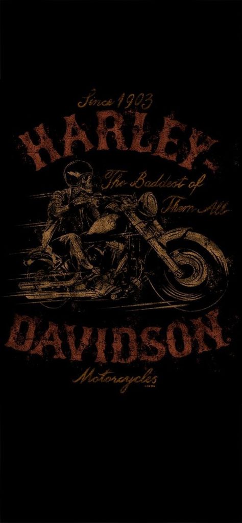 Devil Art, Harley Davidson Merchandise, Harley Davidson Posters, Hd Designs, Harley Davidson Sportster 883, Harley Davidson Artwork, Harley Davidson Wallpaper, Apparel Design Inspiration, Harley Davidson Vintage