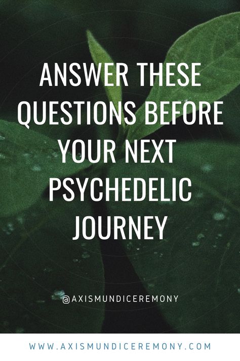 Shroom Trip Intentions, Shroom Trip Activities, Essential Questions, Intention Setting, Alternative Healing, Questions To Ask, Holistic Healing, Healing Journey, Natural Healing