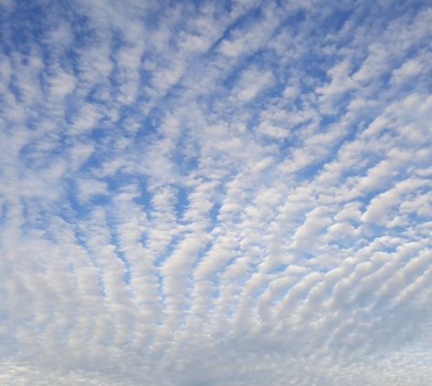 #clouds #pretty #blue Cumulus Clouds, Sky And Clouds, Quick Saves, Art