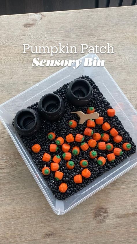 Pumpkin Patch Sensory Bin | Sensory bins, Toddler sensory bins, Kids sensory Fall Sensory Bin, Toddler Sensory Bins, Halloween Sensory, Baby Sensory Play, Sensory Crafts, Sensory Activities Toddlers, Baby Play Activities, Toddler Sensory, Halloween Preschool