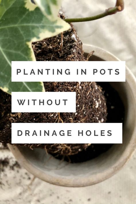 #planting #repotting #potswithoutdrainageholes #houseplants #indoorplants #howto Diy Plant Saucer, Planting In Pots, Plants In Containers, Outside Planters, Repotting Plants, Plant Saucers, Plants Beautiful, Plant Saucer, House Plant Pots