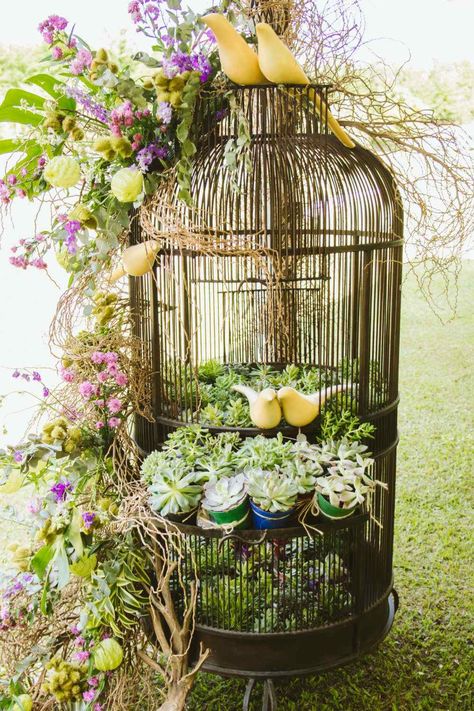 Outdoor Garden Decor Ideas, Bird Cage Ideas, Hamster Cage Ideas, Vintage Bird Cage Decor, Big Bird Cage, Birdcage Planter, Antique Bird Cages, Bird Cage Centerpiece, Large Bird Cages