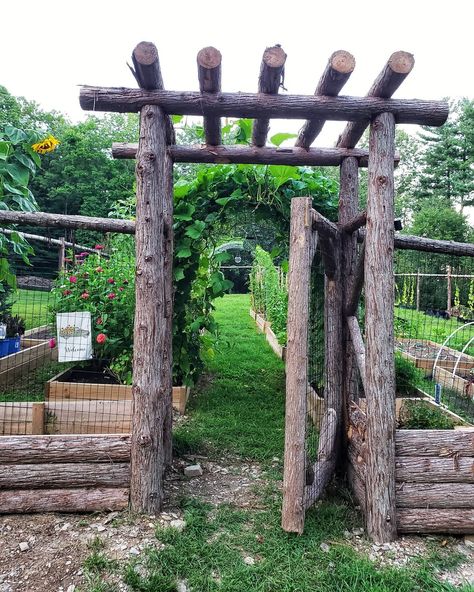 Backyard Arbor Ideas, Backyard Arbor, Rustic Garden Fence, Arbor Ideas, Rustic Arbor, Garden Archway, Rustic Backyard, Garden Arbor, Garden Arches