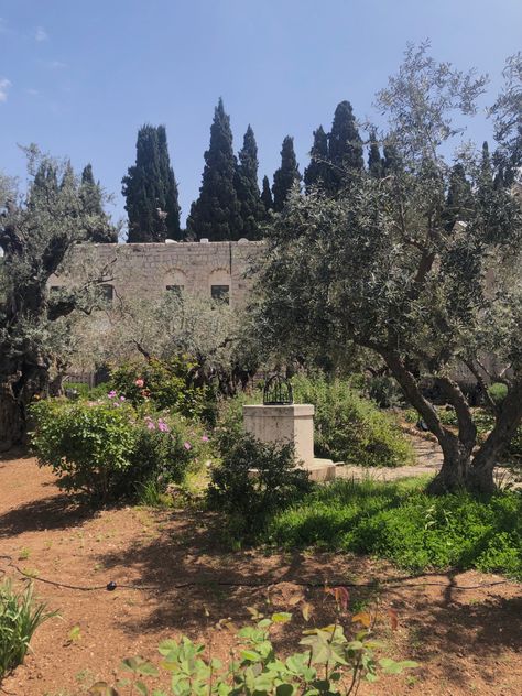 Sorrowful Mysteries, The Garden Of Gethsemane, Garden Of Gethsemane, Church Inspiration, African Paintings, Wild Garden, Jewish History, Natural Garden, Art Appreciation