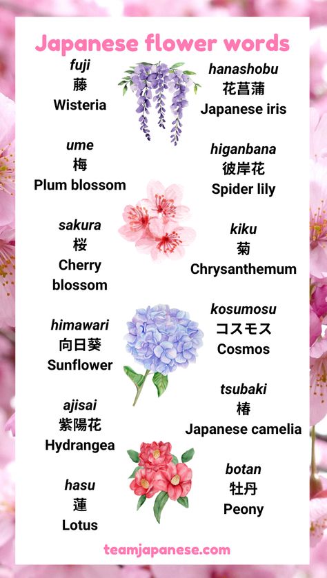 Many beautiful flowers have a special significance in Japanese culture! Learn popular Japanese flower words with this post. Visit Team Japanese to learn more about the culture and meaning behind these Japanese flower names :) Encouraging Japanese Words, Japanese Flowers Meanings, Japanese Flower Name, I Love You Too In Japanese, Beautiful Japanese Words And Meanings, Beautiful Japanese Names And Meanings, Japanese Last Names And Meanings, Beautiful Words In Japanese, Best Friend In Japanese