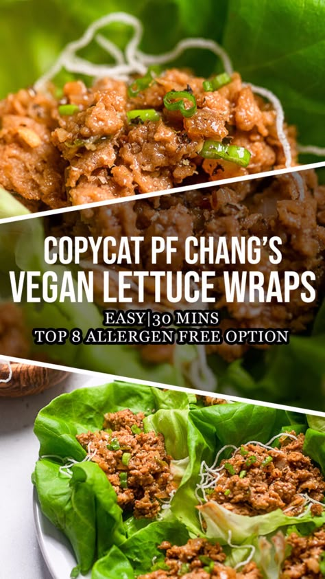 Pf Changs Veggie Lettuce Wraps, Pf Changs Tofu Lettuce Wraps, Pf Chang’s Vegetarian Lettuce Wraps, Pf Chang Vegetarian Lettuce Wrap, Vegan Tofu Lettuce Wraps, Vegan Lettuce Wraps Pf Changs, P F Chang’s Lettuce Wraps, Tofu Lettuce Wraps Pf Changs, Lettuce Wraps Pf Changs Recipe