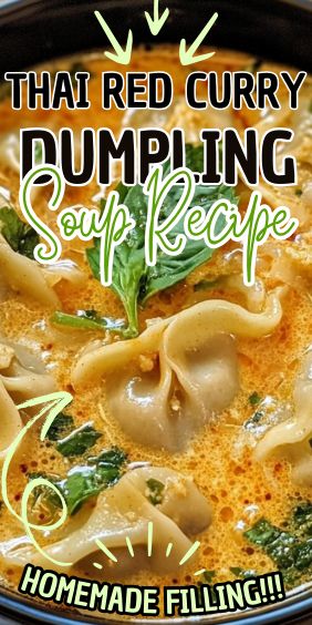 Thai Red Curry Dumpling Soup Creamy Curry Soup, Red Curry Dumpling Soup, Dumpling Soup Asian, Thai Red Curry Soup, Red Curry Soup, Curry Broth, Dumpling Dough, Dumpling Soup, Homemade Dumplings